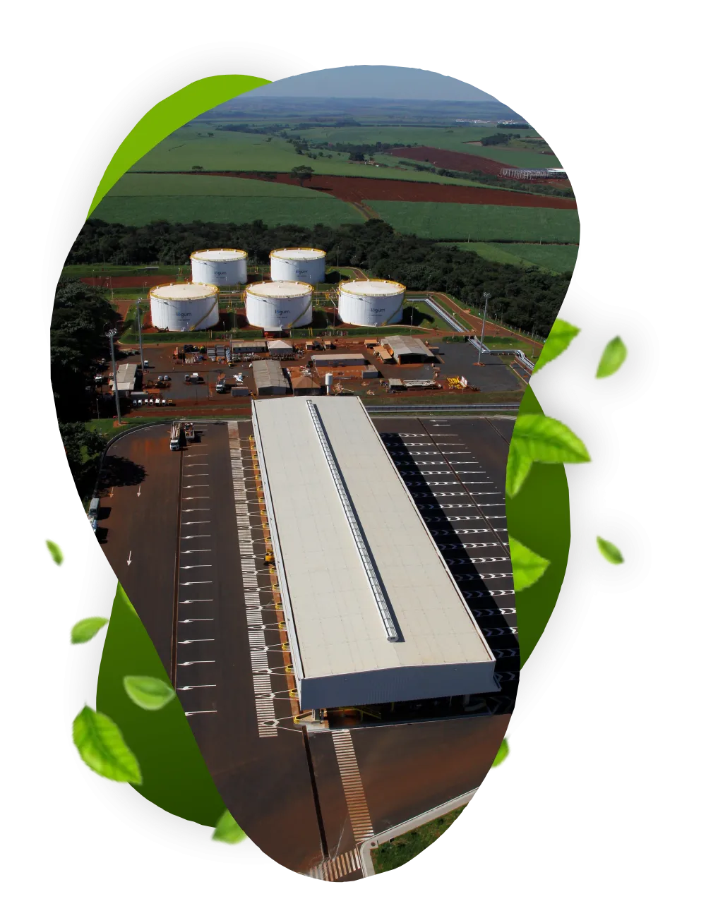 Logo Logum